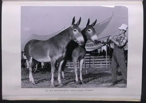 2 Fotoalben mit 68 Fotografien, Ansicht Missouri / MO, Staatsfotograf Gerald R. Massie (1911-1989) state photographer