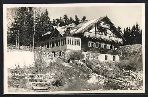 AK Hanslsteighaus /Hohe Wand, Berghütte H. Puschner im Winter