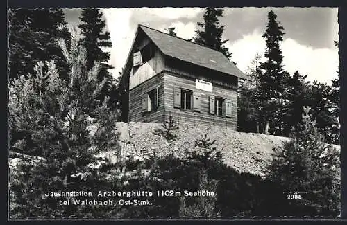 AK Jausenstation Arzberghütte, Berghütte bei Waldbach