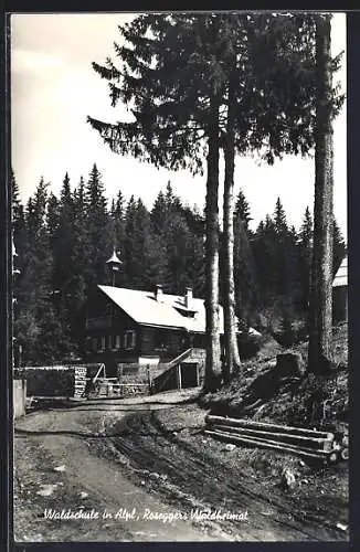 AK Alpl, Blick auf die Waldschule