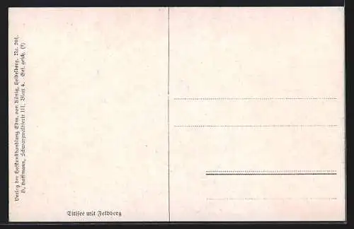Künstler-AK Heinrich Hoffmann: Titisee mit Feldberg