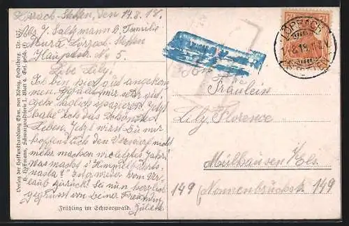 Künstler-AK H. Hoffmann: Frühling im Schwarzwald, Hof und blühende Bäume