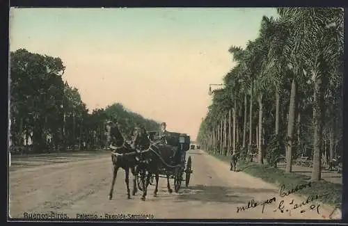 AK Buenos-Aires, Avenida-Sarmiento de Palermo