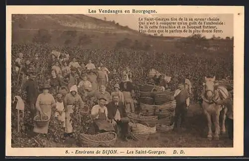 AK Les Saint-Georges /Dijon, Les Vendanges en Bourgogne