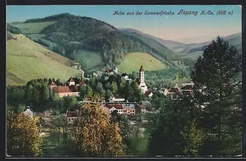 AK Aspang /N.-Oe., Totalansicht gegen die Berge