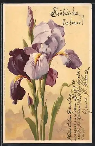 Künstler-AK Catharina Klein: Violettte Blumen, Ostergruss