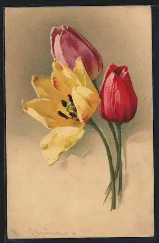 Künstler-AK Catharina Klein: Drei Tulpen