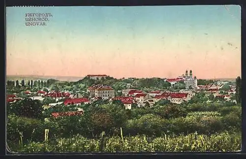 AK Uzhorod, Ortsansicht aus der Vogelschau