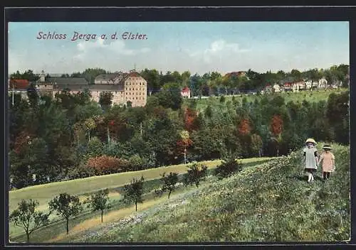 AK Berga a. d. Elster, Blick zum Schloss