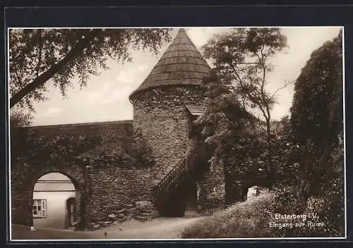 AK Elsterberg i. V., Eingang zur Ruine