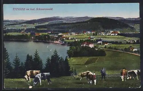 AK Titisee im bad. Schwarzwald, Totalansicht von einen Berg aus