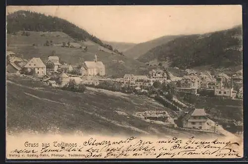 AK Todtmoos, Gesamtansicht von einen Berg aus