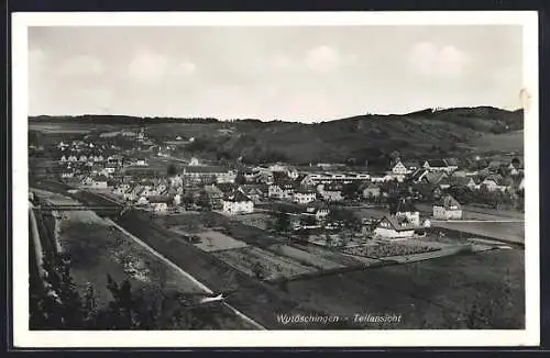 AK Wutöschingen, Teilansicht von einen Berg aus