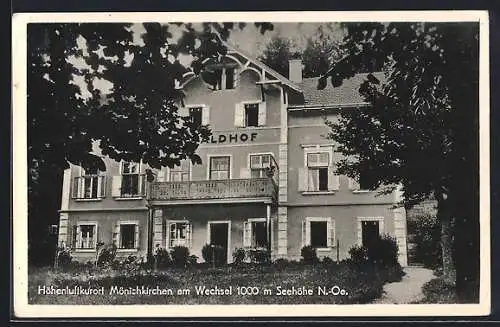 AK Mönichkirchen am Wechsel, Hotel Waldhof