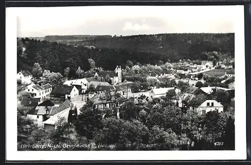 AK Hirtenberg, Gesamtansicht mit Hauptplatz und Altgasse