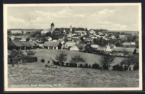 AK Allentsteig /N.-D., Ortsansicht vom Hügel aus