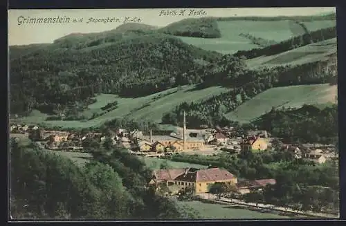 AK Grimmenstein a. d. Aspangbahn, Ortspartie mit der Fabrik H. Nestle