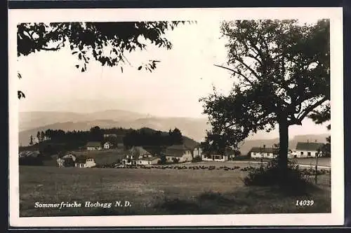 AK Hochegg /N. D., Ortsansicht aus der Ferne