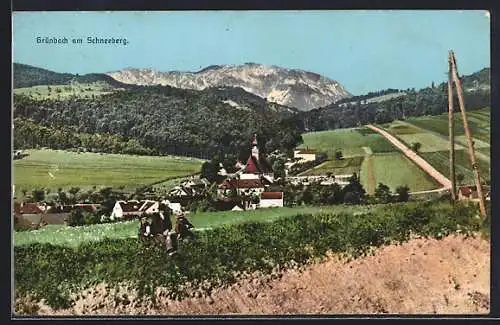 AK Grünbach am Schneeberg, Totalansicht von einen Berg aus