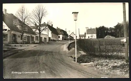 AK Hochegg-Grimmenstein /N.Ö., Strassenpartie mit Geschäft