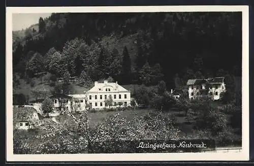 AK Neubruck, Blick zum Allingerhaus