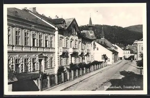 AK Weissenbach a. d. Triesting, Strasse im Sonnenschein