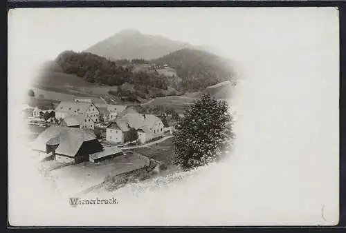 AK Wienerbruck, Ortsansicht von einen Berg aus