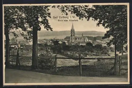 AK Bad Driburg i. W., Blick vom Aliserbett mit Kirche