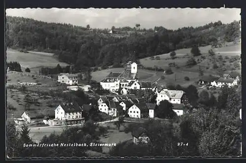 AK Nestelbach /Steiermark, Teilansicht