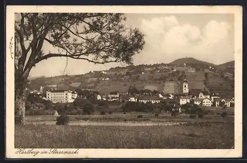 AK Hartberg in Steiermark, Teilansicht mit Baum