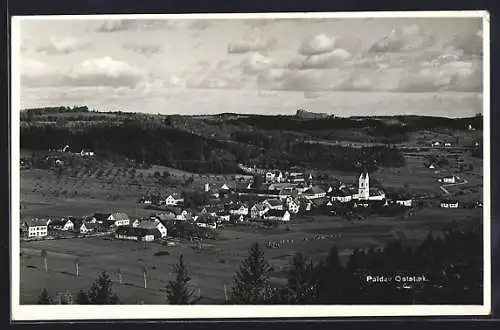 AK Paldau /Oststmk., Teilansicht