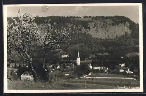 AK Radegund, Ortspartie bei Baumblüte