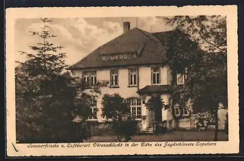 AK Dörenschlucht /Teutoburger Wald, Hotel und Pension Dörenkrug, Bes. Aug. Habermann