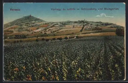 AK Versecz, Schlossberg und Weingärten