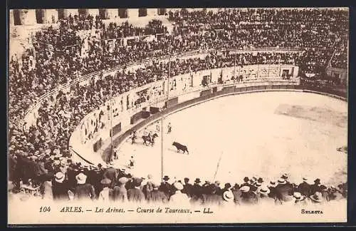 AK Arles, Les Arènes, Course de Taureaux