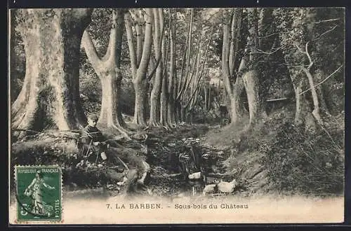 AK La Barben, Sous-bois du Château