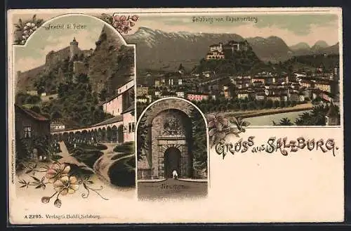 AK Salzburg, Friedhof St. Peter, Neuthor, Totalansicht