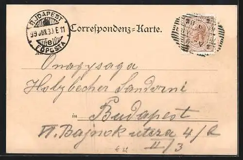 AK Wien-Hietzing, Ortspartie