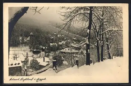 AK Kipsdorf /Erzgeb., Ortsansicht im Winter