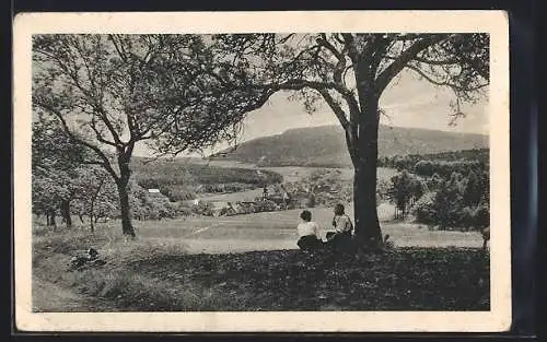 AK Moosbronn, Ortsansicht aus der Ferne