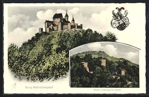 Künstler-AK Eugen Felle: Hohennagold, Die Burg von einst und die Ruine