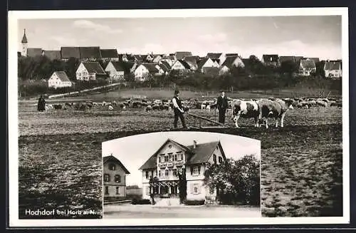 AK Hochdorf bei Horb, Gasthof zum Bahnhof, weidende Rinder und Schafe