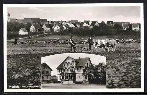 AK Hochdorf bei Horb, Gasthof zum Bahnhof, weidende Rinder und Schafe