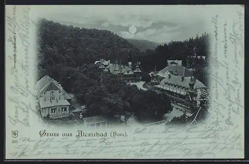 Mondschein-AK Alexisbad /Harz, Teilansicht aus der Vogelschau