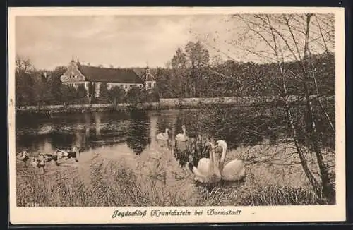 AK Darmstadt, Jagdschloss Kranichstein mit Schwänen