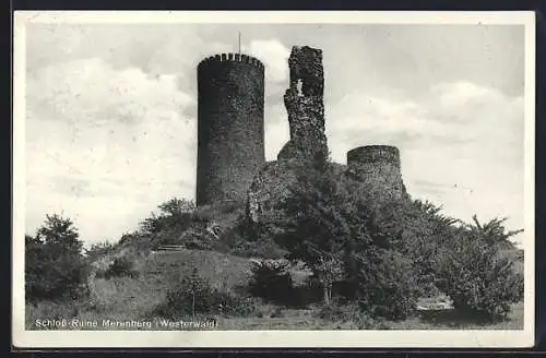 AK Merenberg /Westerwald, Schloss-Ruine