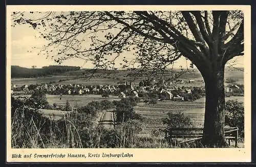 AK Hausen /Kreis Limburg, Teilansicht mit Baum