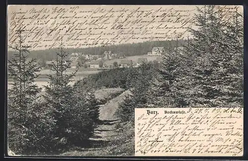 AK Bockswiese /Harz, Panorama