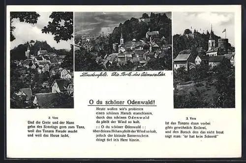 AK Lindenfels /Odenwald, Teilansichten, Ortspartie