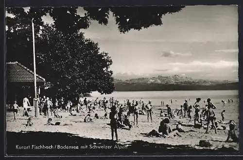 AK Fischbach /Bodensee, Strand mit Schweizer Alpen